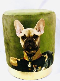 Design-Hocker mit französischer Bulldogge im Art-Print Grüner Design-Hocker mit humorvollem Motiv einer französischen Bulldogge im Uniform-Art-Print, dekoratives Wohnaccessoire.